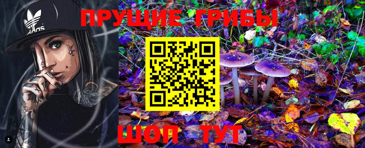 Мценск  Галлюциногенные грибы MAGIC MUSHROOMS  Вход с VPN  Галлюциногенные грибы мицелий 