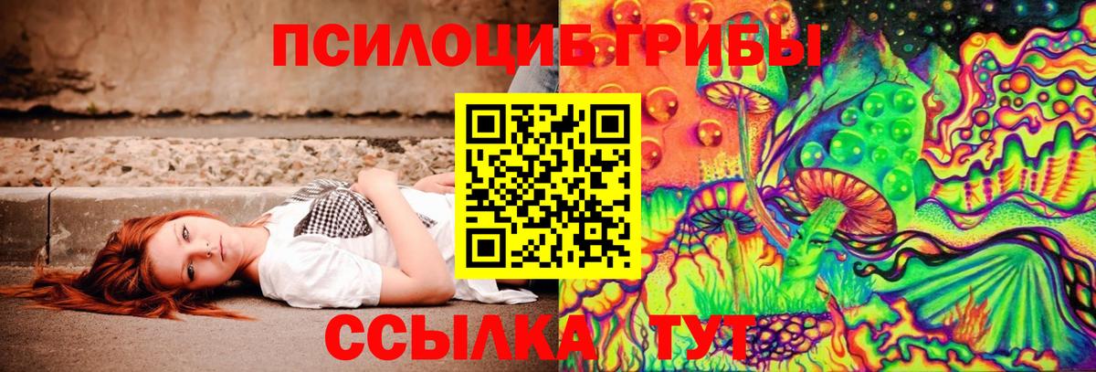Галлюциногенные грибы мухоморы Мценск